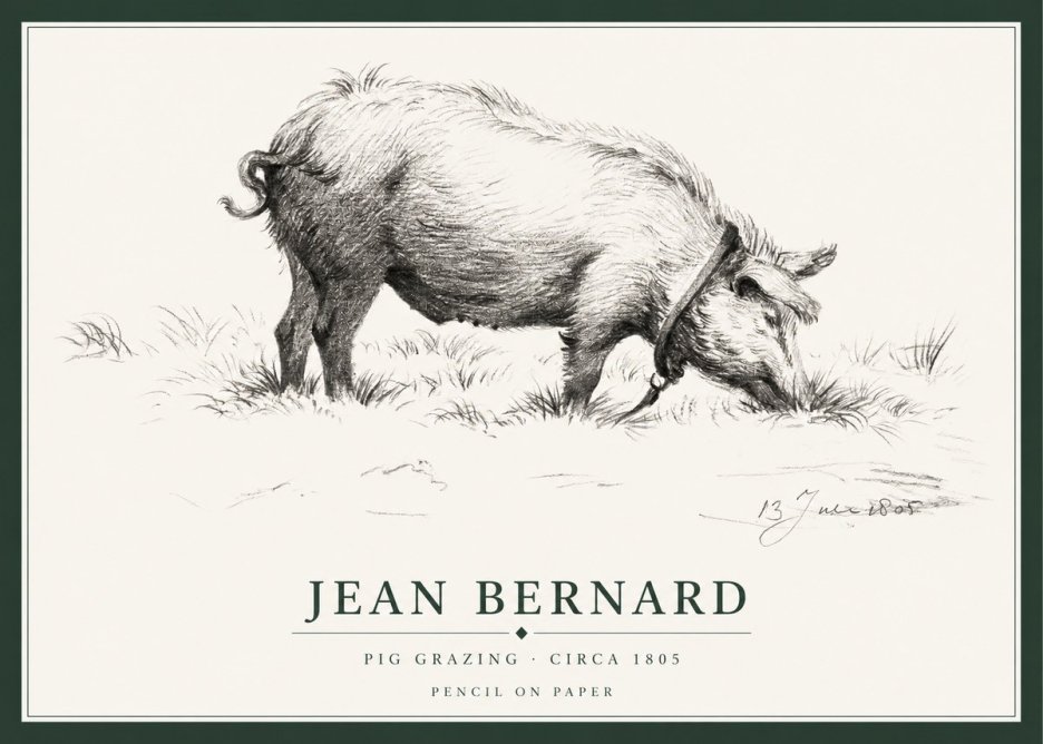 Jean Bernard Pig Grazing No1 - Affiche