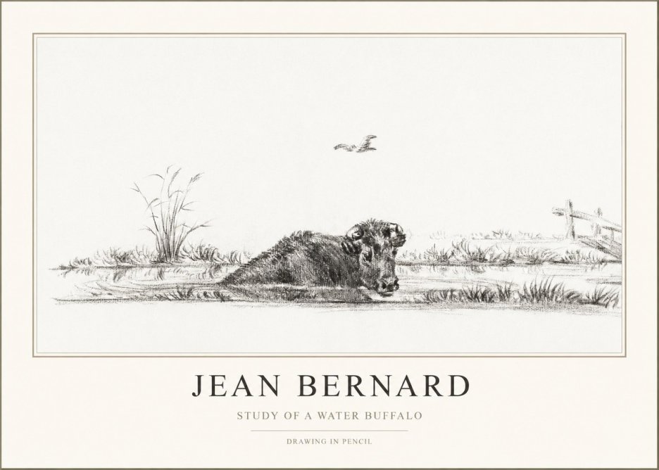 Jean Bernard Study of a Water Buffalo No1 - Affiche