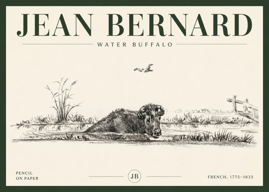 Jean Bernard Study of a Water Buffalo No6 - Affiche