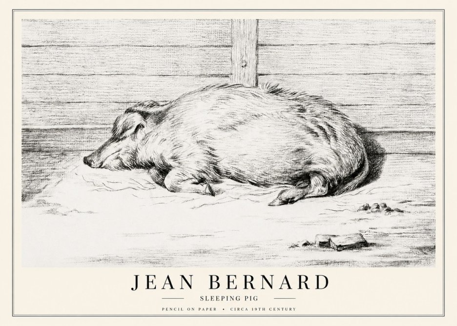 Jean Bernard Sleeping Pig I No1 - Affiche