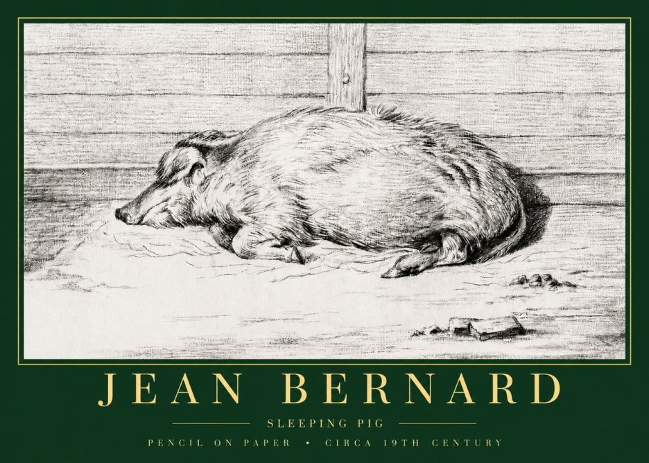 Jean Bernard Sleeping Pig I No3 - Affiche