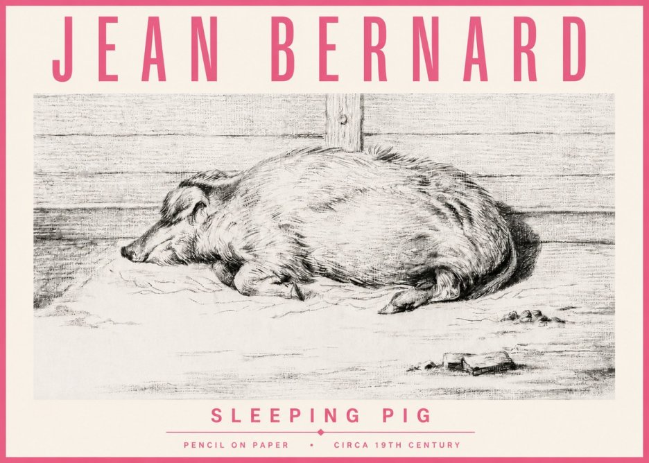 Jean Bernard Sleeping Pig I No4 - Affiche