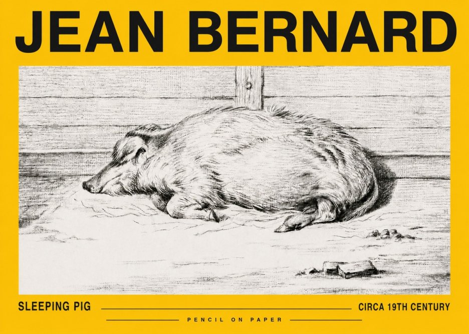 Jean Bernard Sleeping Pig I No5 - Affiche