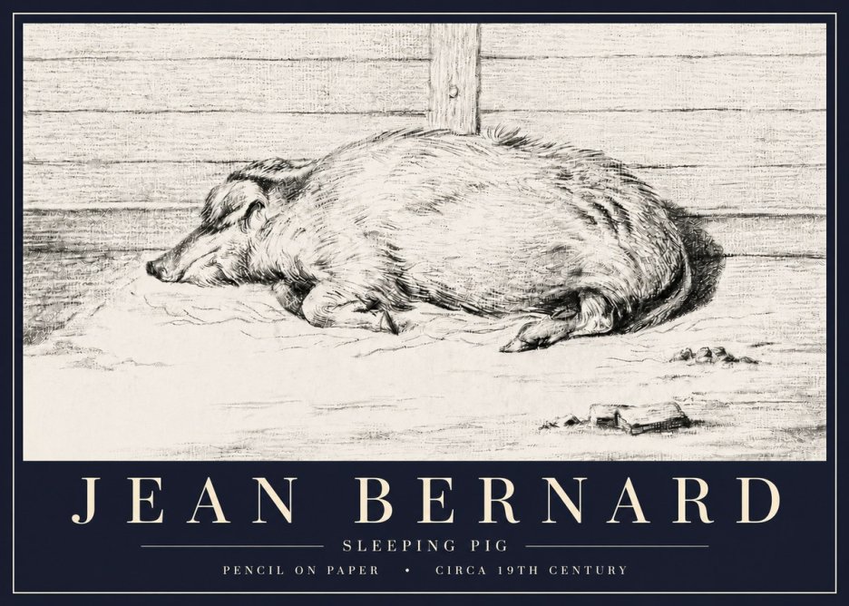 Jean Bernard Sleeping Pig I No6 - Affiche