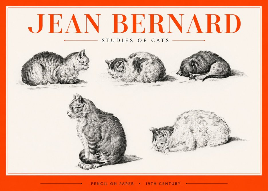 Jean Bernard Studies of Cats No2 - Affiche