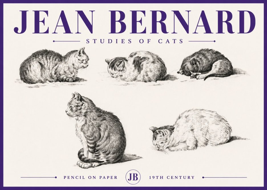 Jean Bernard Studies of Cats No5 - Affiche