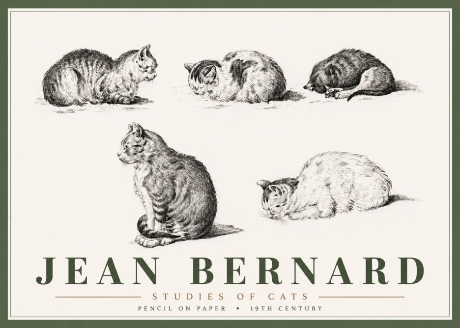 Jean Bernard Studies of Cats No6 - Affiche
