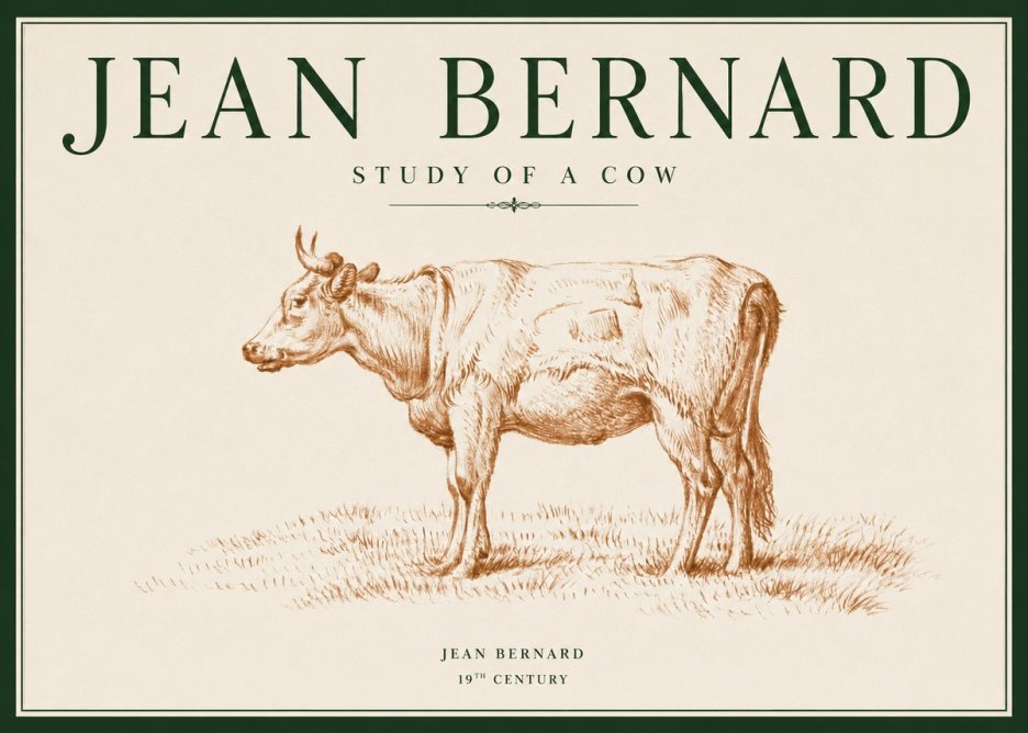 Jean Bernard Study of a Cow XIX No3 - Affiche
