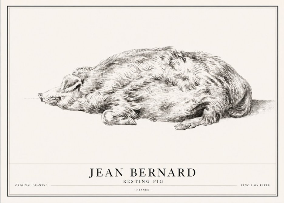Jean Bernard Resting Pig II No1 - Affiche