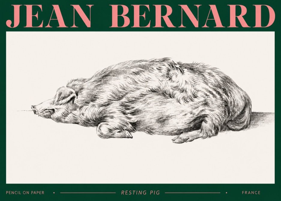Jean Bernard Resting Pig II No2 - Affiche