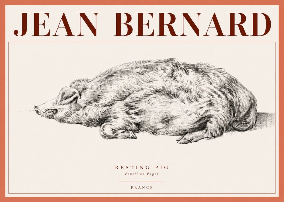 Jean Bernard Resting Pig II No4 - Affiche