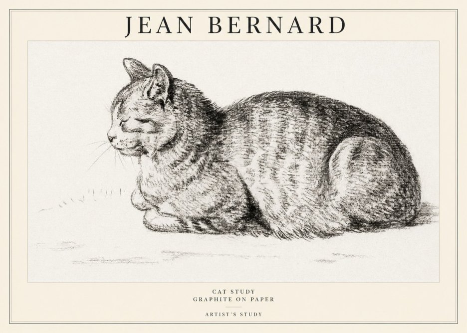 Jean Bernard Cat Study XII No1 - Affiche