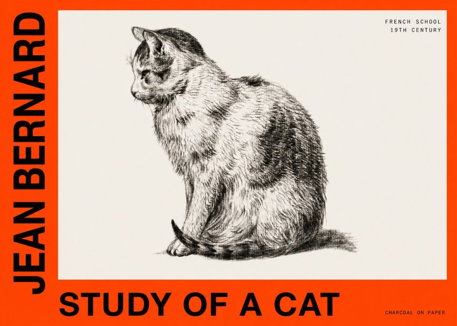 Jean Bernard Study of a Cat IV No6 - Affiche