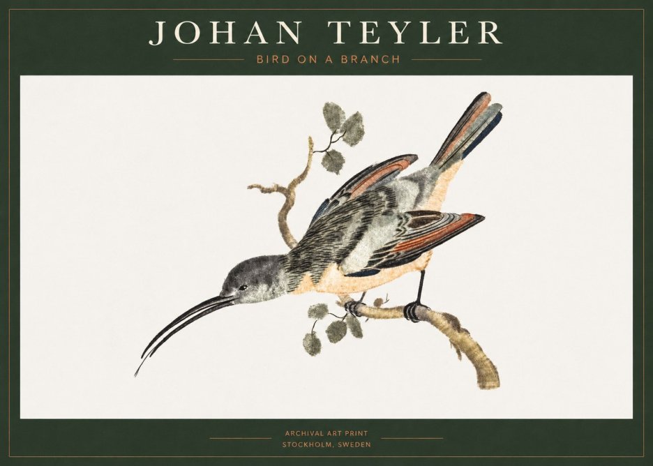 Johan Teyler Bird on a Branch No1 - Affiche