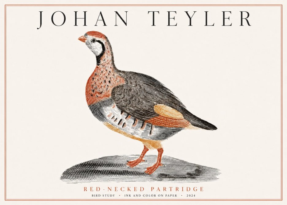 Johan Teyler Red-necked Partridge No1 - Affiche
