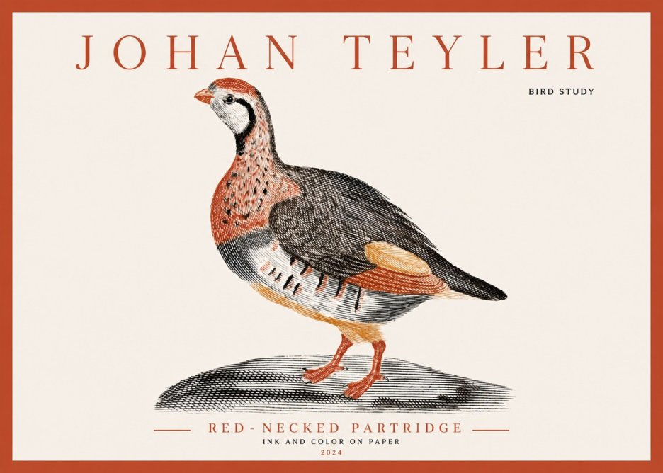 Johan Teyler Red-necked Partridge No3 - Affiche