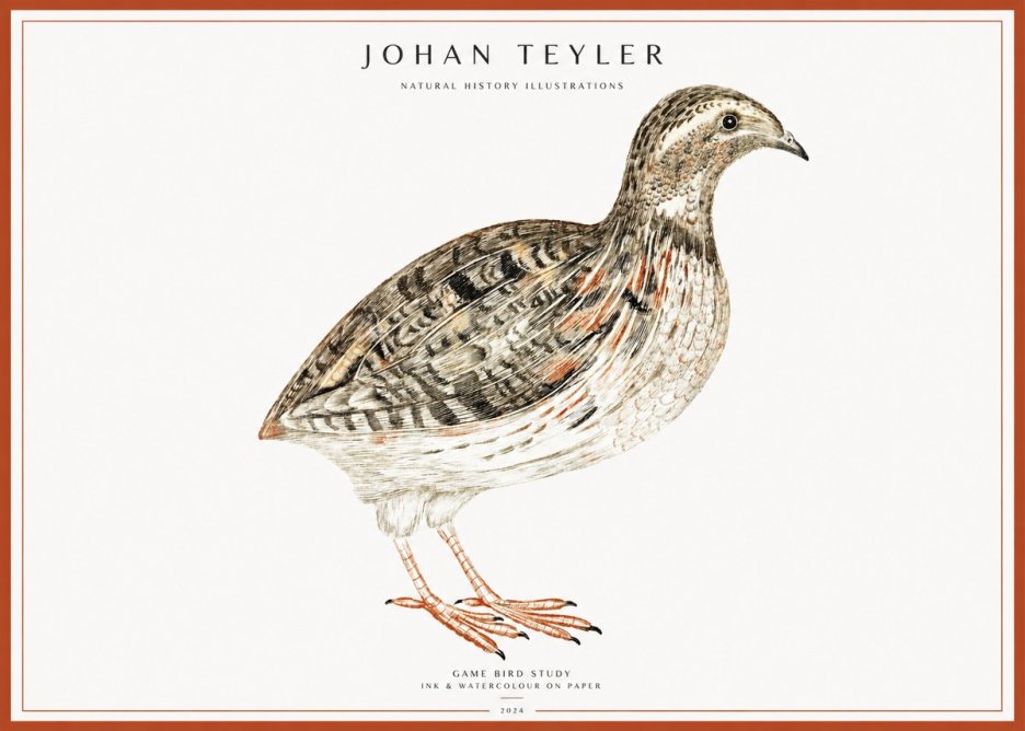 Johan Teyler Game Bird Study No1 - Affiche