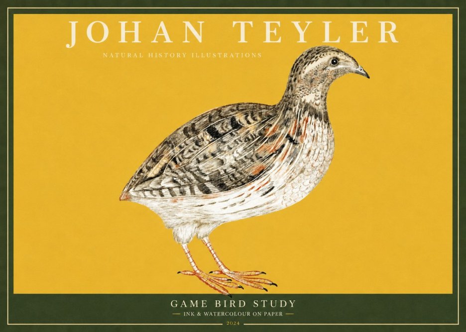 Johan Teyler Game Bird Study No2 - Affiche