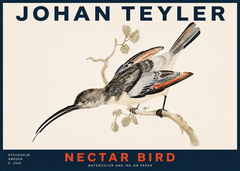 Johan Teyler Nectar Bird No4 - Affiche