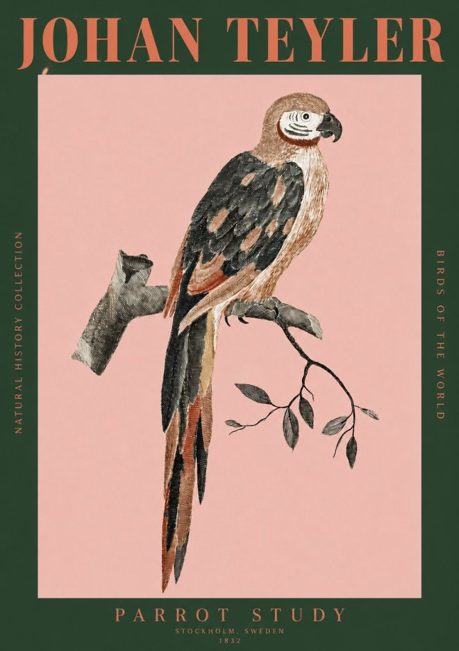 Johan Teyler Parrot Study I No2 - Affiche