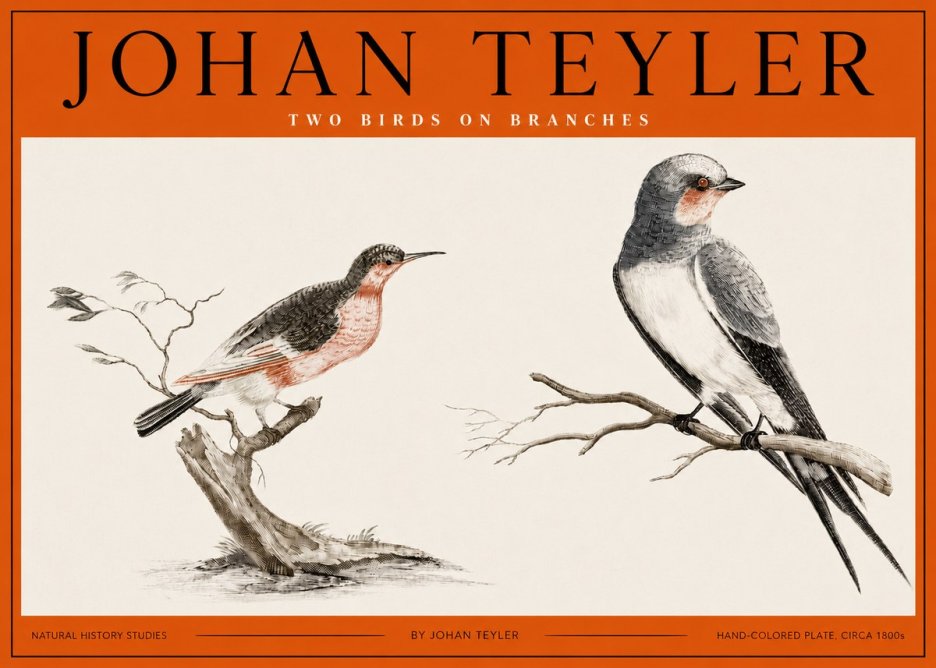 Johan Teyler Two Birds on Branches No2 - Affiche