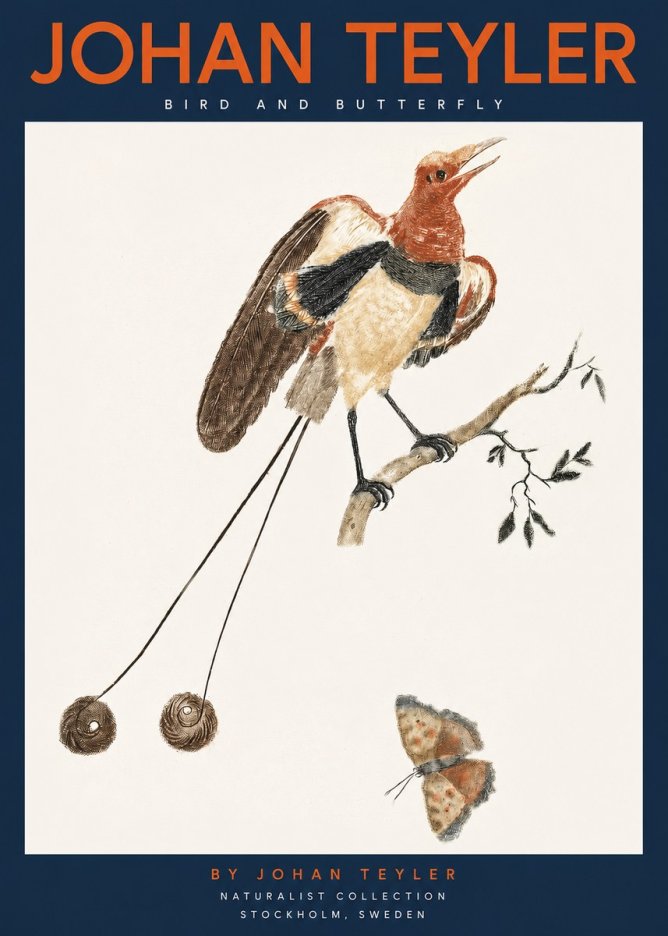 Johan Teyler Bird and Butterfly No2 - Affiche