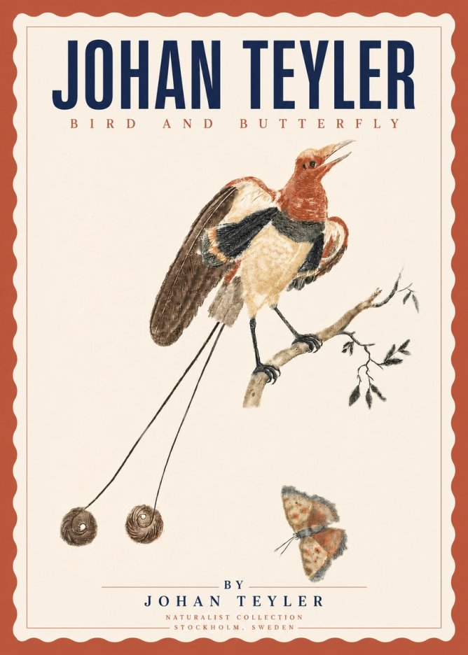 Johan Teyler Bird and Butterfly No3 - Affiche