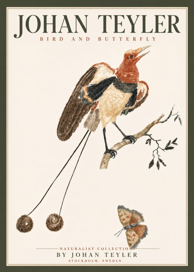 Johan Teyler Bird and Butterfly No4 - Affiche