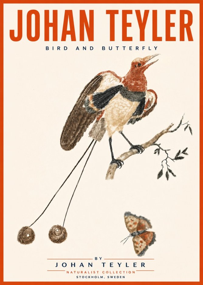 Johan Teyler Bird and Butterfly No5 - Affiche