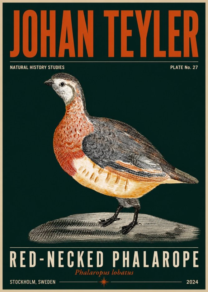 Johan Teyler Red-necked Phalarope No5 - Affiche