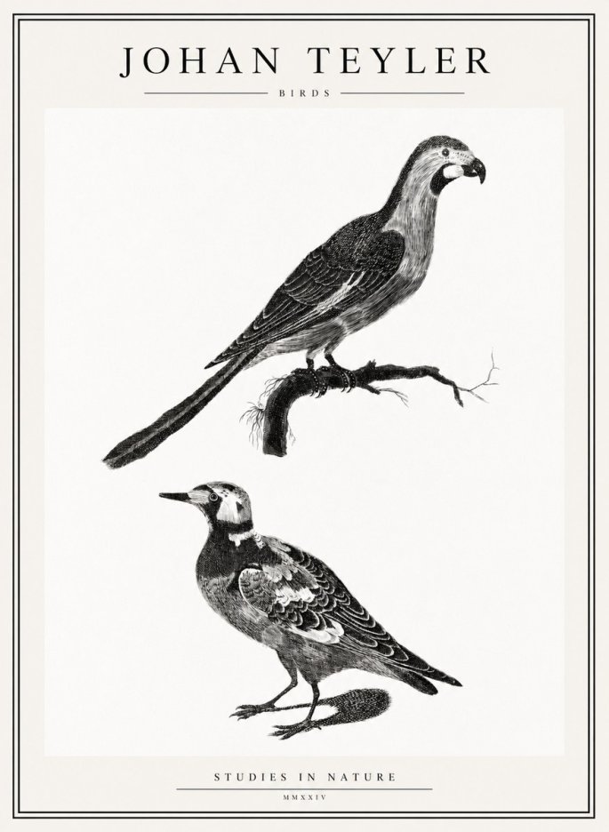 Johan Teyler Birds - Study of Two Species No2 - Affiche
