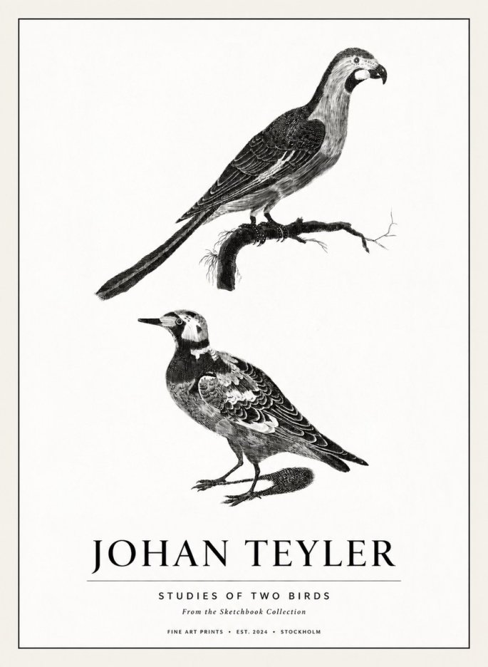 Johan Teyler Birds - Study of Two Species No3 - Affiche