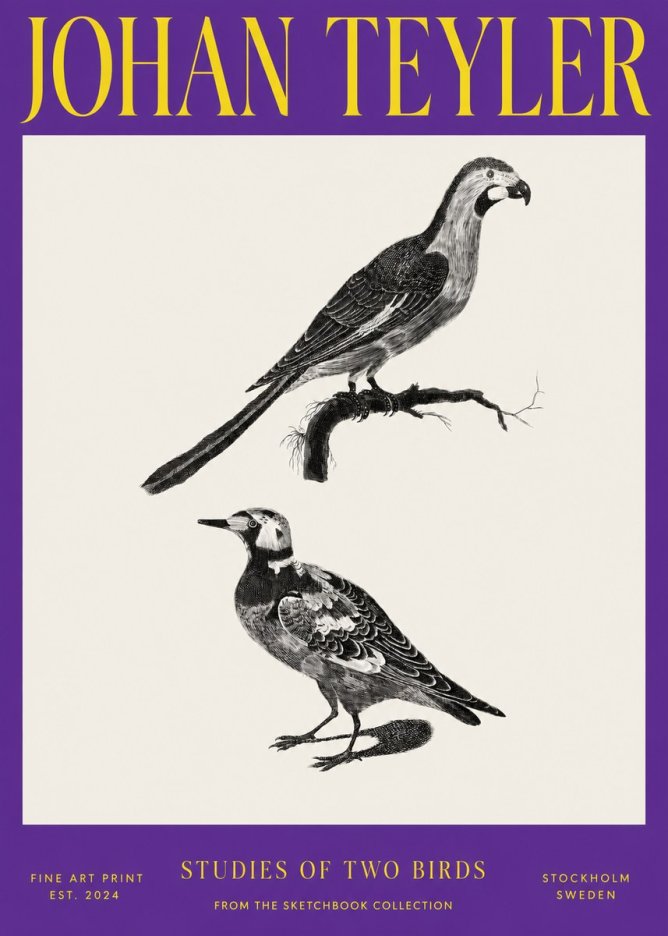 Johan Teyler Birds - Study of Two Species No4 - Affiche