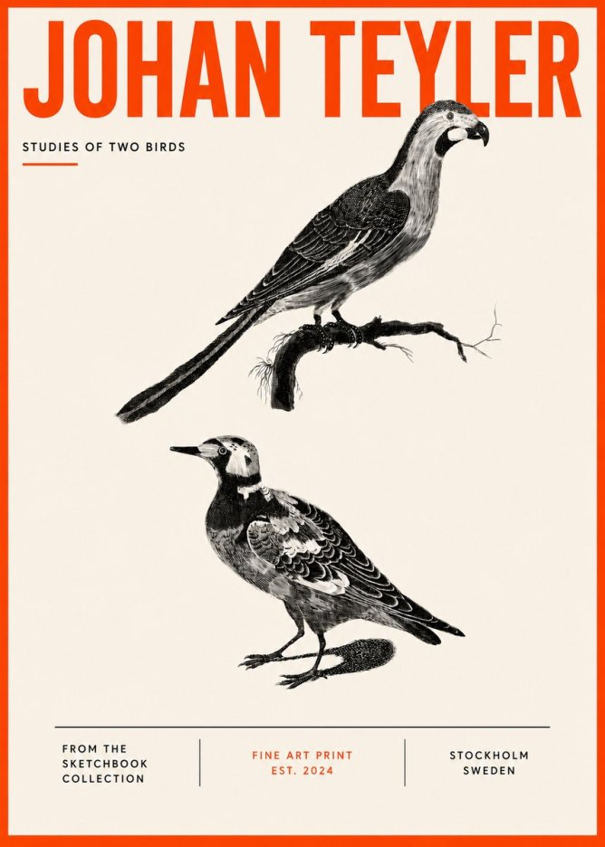 Johan Teyler Birds - Study of Two Species No5 - Affiche