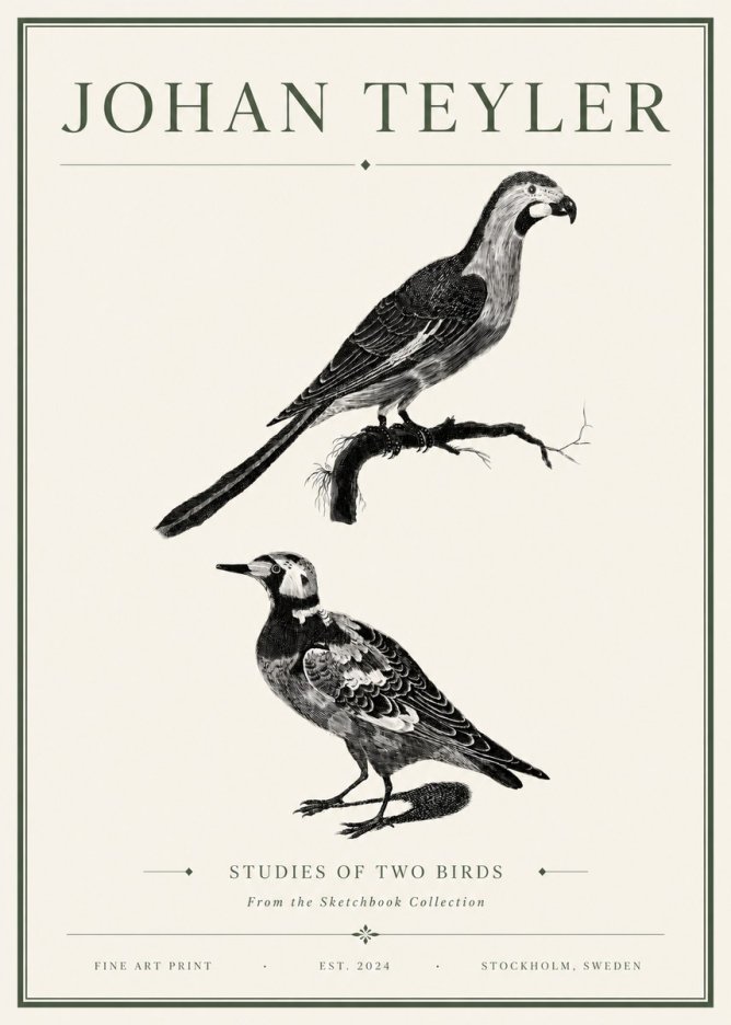 Johan Teyler Birds - Study of Two Species No6 - Affiche