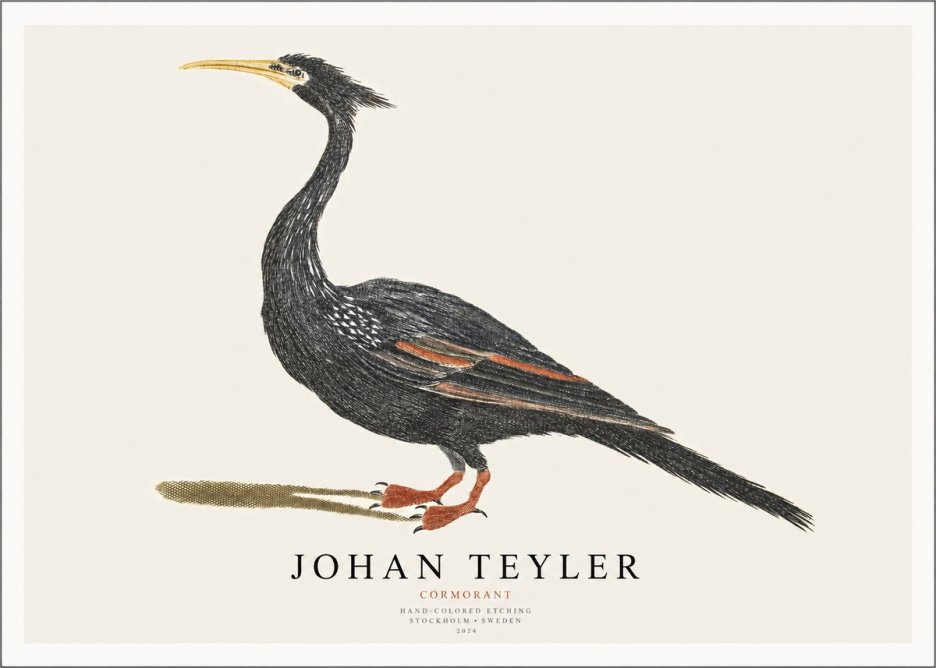 Johan Teyler Cormorant No1 - Affiche