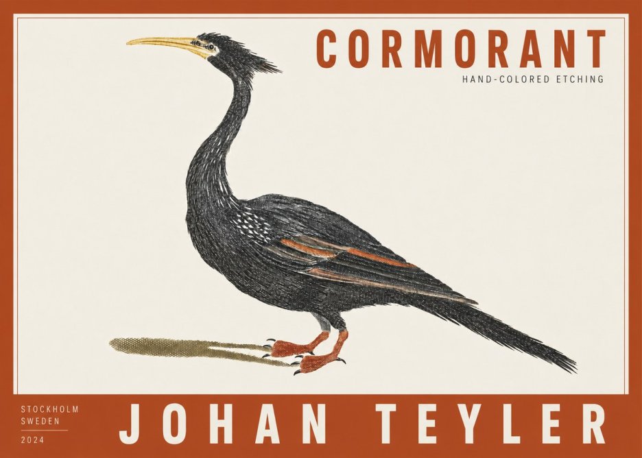 Johan Teyler Cormorant No2 - Affiche