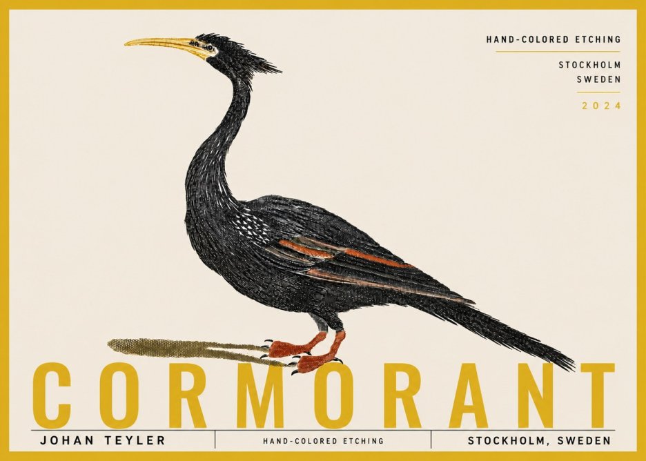 Johan Teyler Cormorant No6 - Affiche