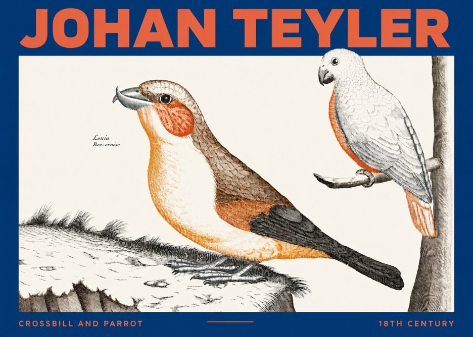 Johan Teyler Crossbill and Parrot No2 - Affiche
