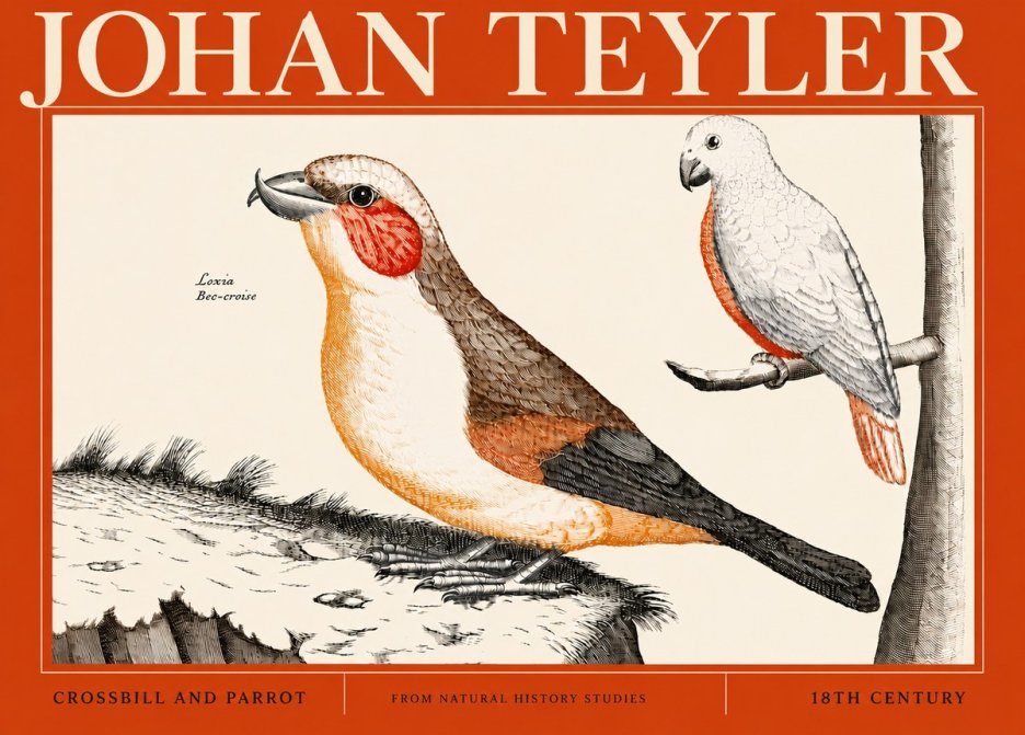 Johan Teyler Crossbill and Parrot No4 - Affiche