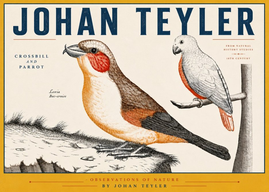 Johan Teyler Crossbill and Parrot No6 - Affiche