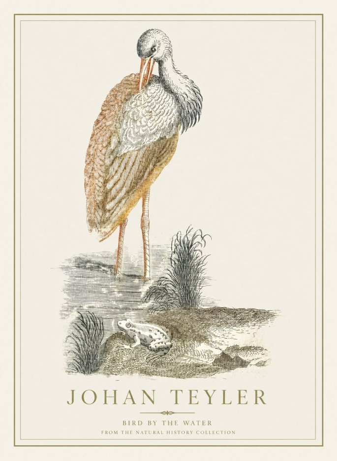Johan Teyler Bird by the Water No1 - Affiche