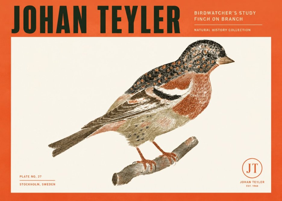 Johan Teyler Finch on Branch No2 - Affiche