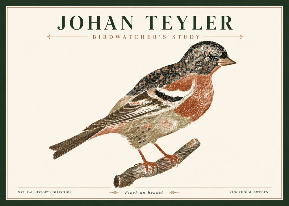 Johan Teyler Finch on Branch No4 - Affiche