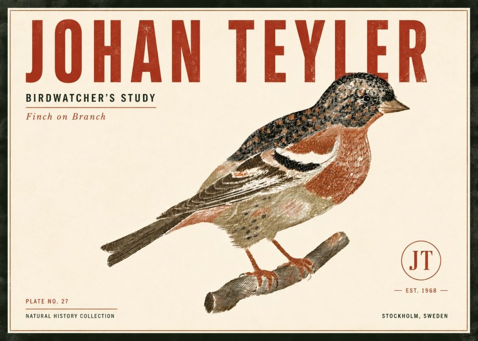 Johan Teyler Finch on Branch No6 - Affiche