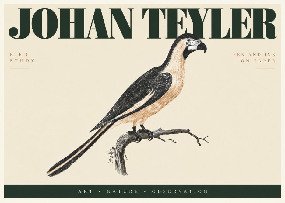 Johan Teyler Bird Study I No2 - Affiche