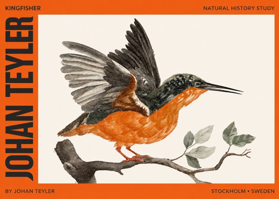 Johan Teyler Kingfisher No2 - Affiche