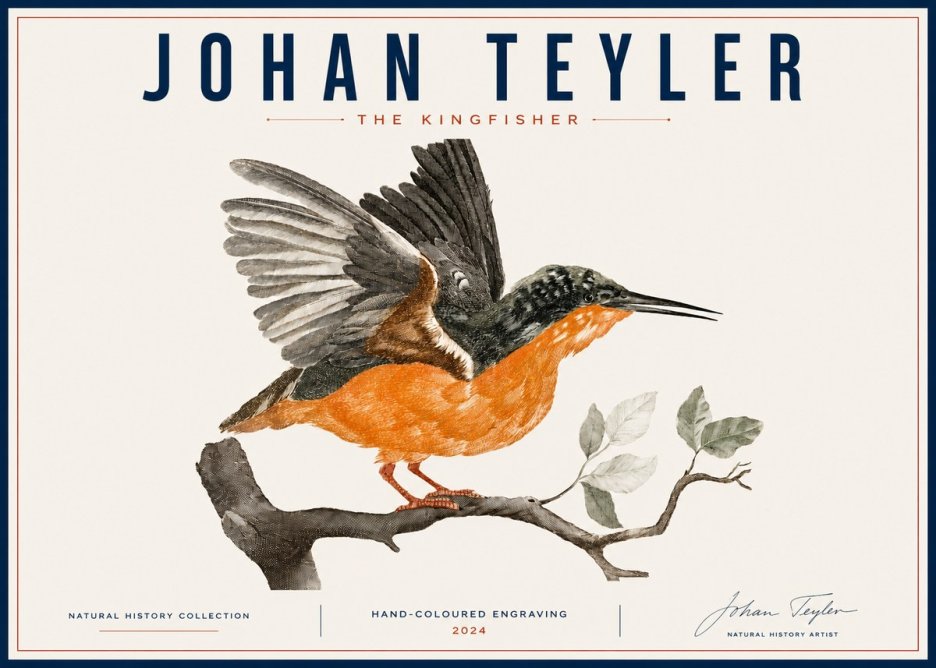 Johan Teyler Kingfisher No6 - Affiche