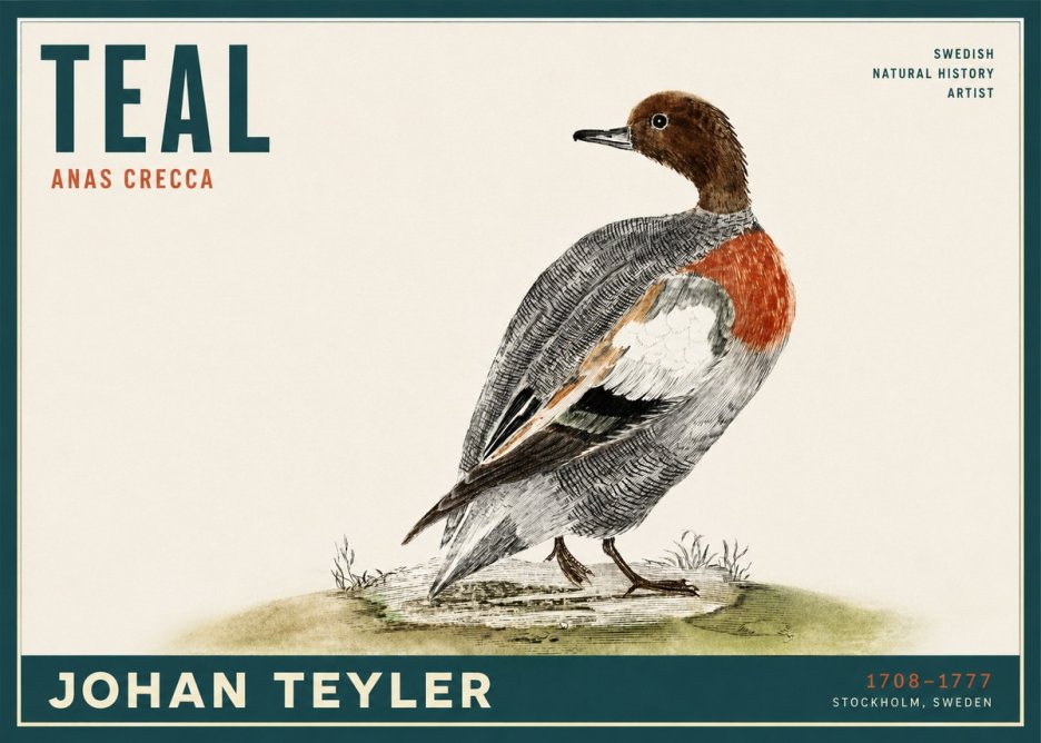 Johan Teyler Teal No2 - Affiche
