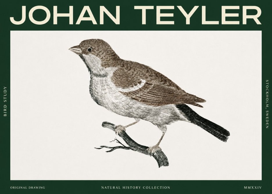 Johan Teyler Bird Study II No2 - Affiche